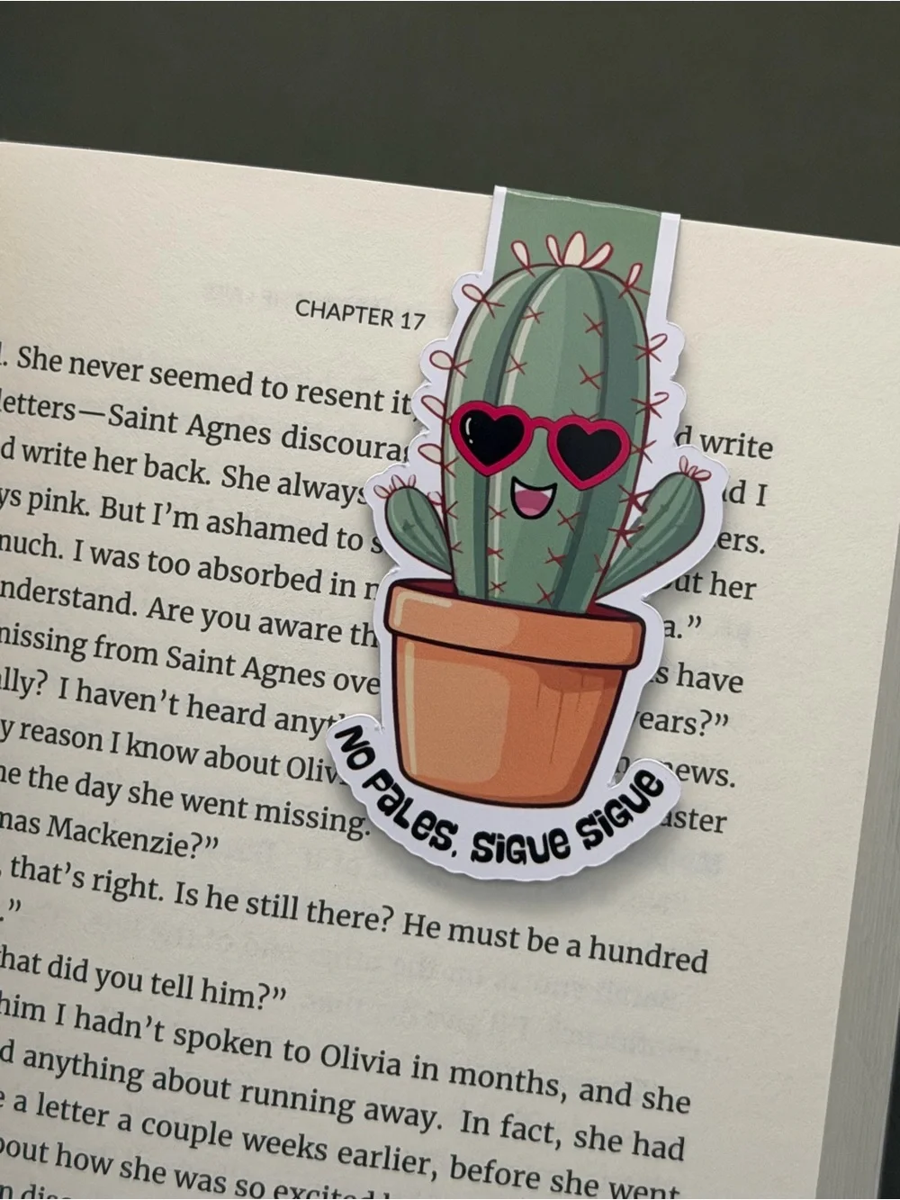 Fun Magnetic Bookmarks